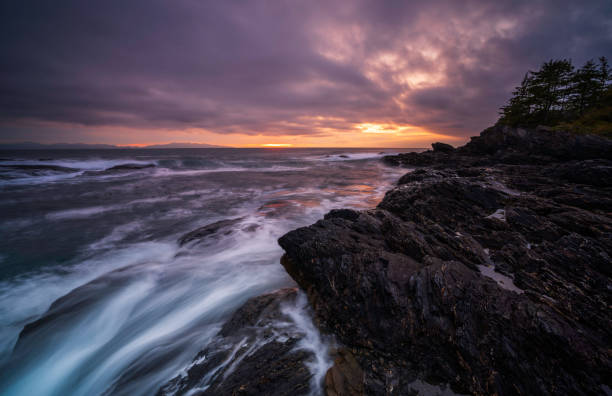 istock Port Renfrew British Columbia 1162626518