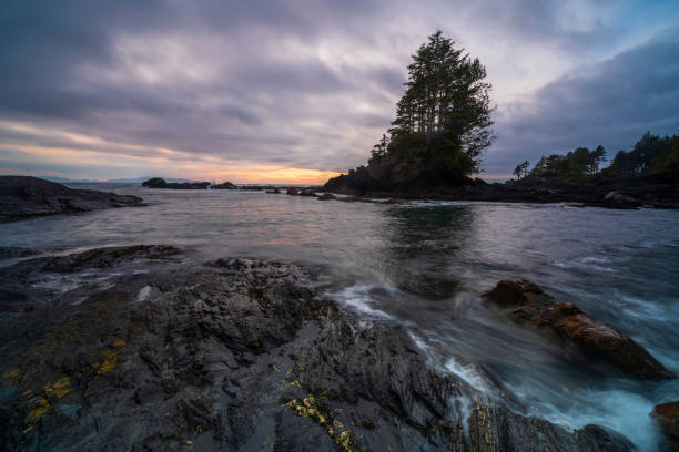 istock Port Renfrew British Columbia 1162626539