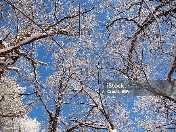 Céu - Fotografias de stock e mais imagens de A nevar - A nevar, Aberto, Abrir