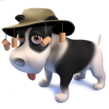 Rendered image of a cartoon puppy dog in Australian hat, 3d illustration