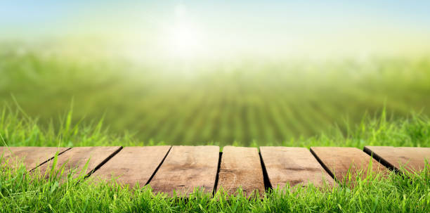 A wooden table with a farmland background