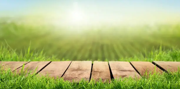 Photo of A wooden table with a farmland background