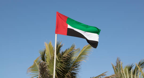 istock United Arab Emirates flag 1162630016