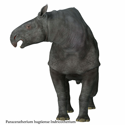 Paraceratherium was a herbivorous mammal that lived in Eurasia during the Eocene and Oligocene Periods.