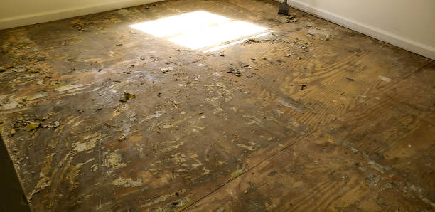 istock Floor damaged by flood. 1162636919