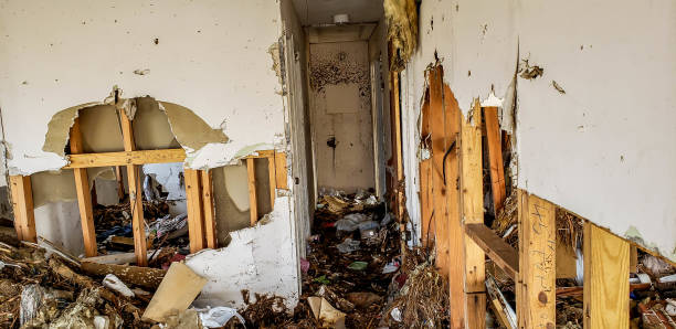 istock Damage wall due to the flood. 1162637690