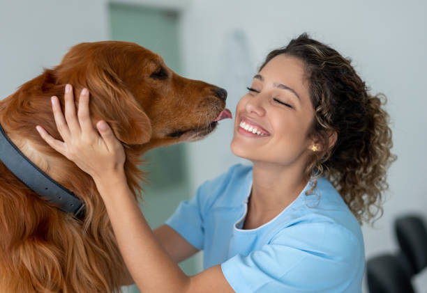 istock Very happy veterinarian getting a kiss from a dog 1162639318