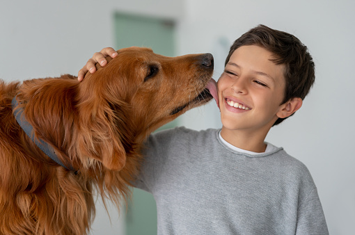 Portrait of a beautiful dog at the vet giving a kiss to a boy â animal care concepts