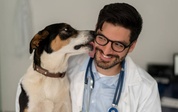 perro emocionado dando un beso al veterinario - doctor dog portrait animal hospital fotografías e imágenes de stock