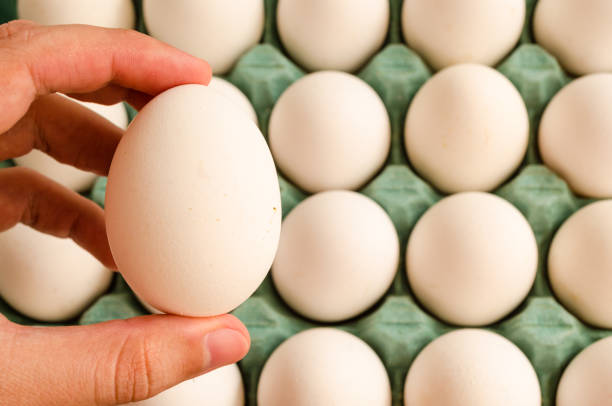 istock hand holding a white egg and in the background a full green egg carton 1162643759