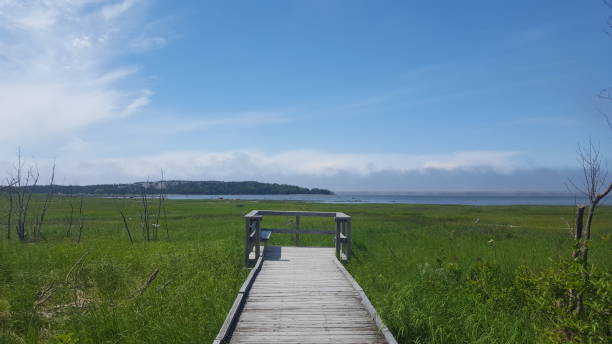 istock Rimouski Coastal Trail (photo15) 1162646672