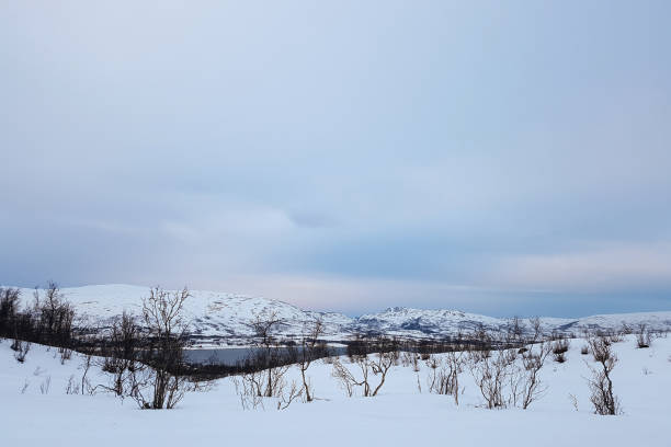 istock Winter Landscape in Tromso 1162647022