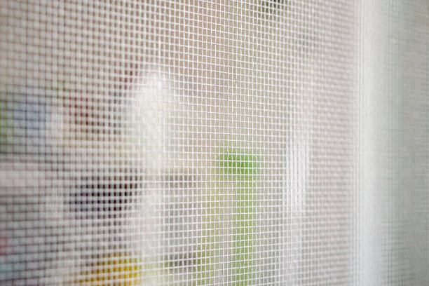 istock mosquito net wire screen close up on house window protection against insect 1162647911