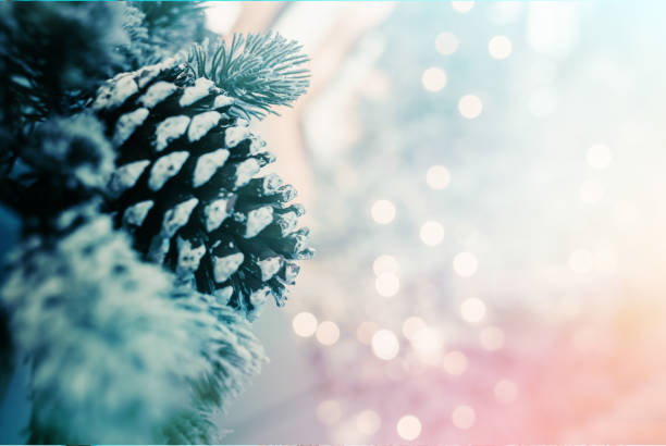 istock Christmas Background with bokeh light; Blurred Xmas background 1162647940