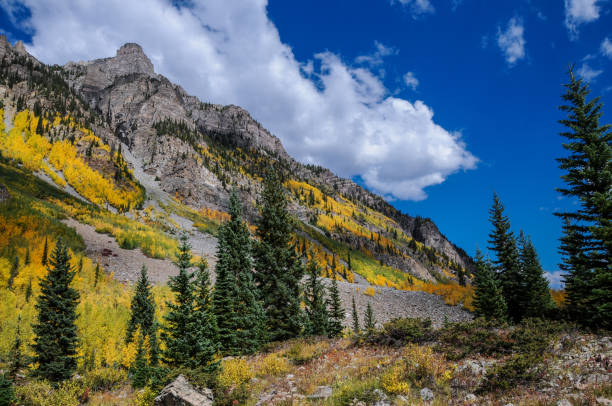 istock Colorado Maroon Bells - Mountain, Aspens and Evergreens 1162648130