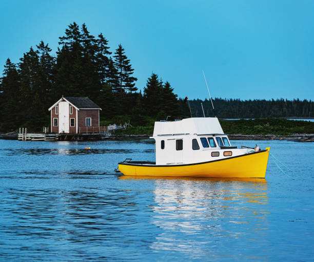 istock Moored Fishing Boat 1162649878