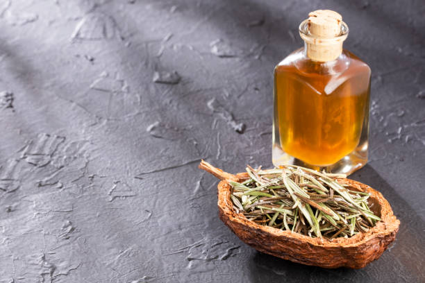 istock Fresh organic rosemary with essential oil - Rosmarinus officinalis 1162650914