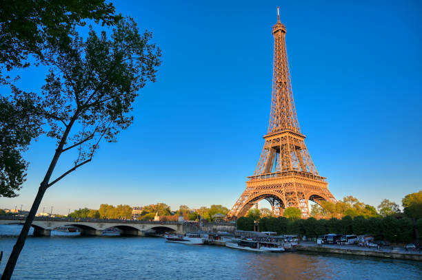istock Eiffel Tower in Paris, France. 1162650924