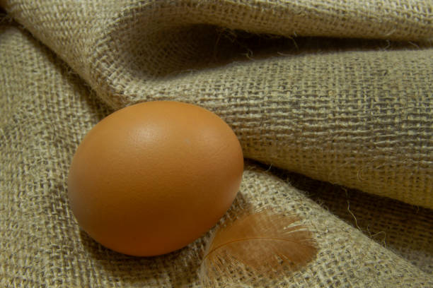 An egg close-up picture on the burlap cloth