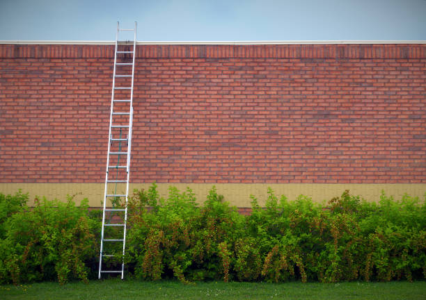 job success ladder business solution motivation goal