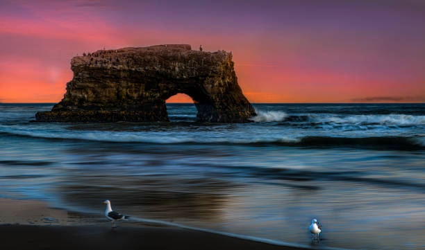 istock Sunrise at California 1162653579