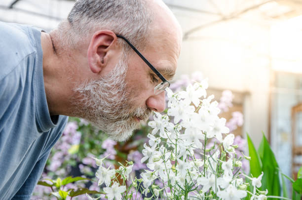 istock Mature man smelling white flowers 1162654522
