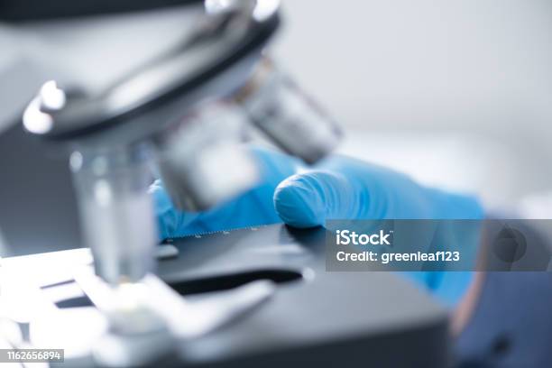 Science Microscope Project Lens Closeup Of Microscope Lens Science Tools Microscope In Laboratory Stock ...