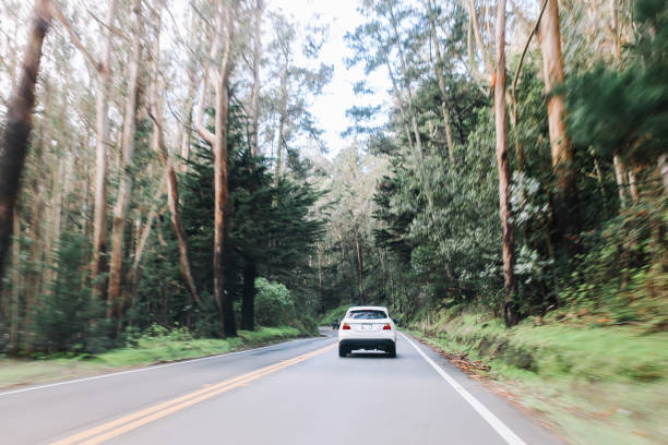 istock Road trip through California coastline 1162662045