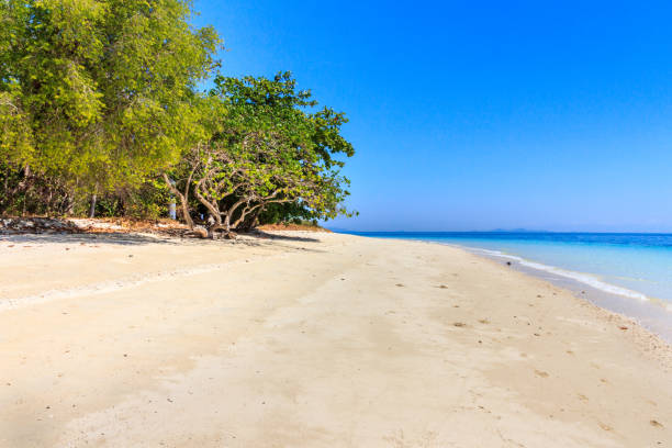 istock Koh Lao Liang, Thailand 1162668238