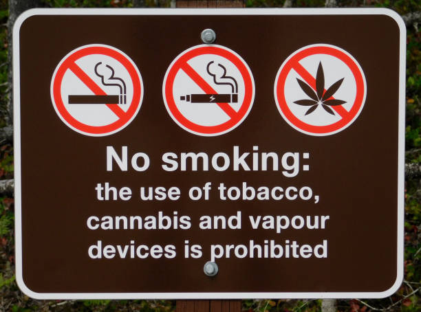 istock No smoking, no vaping, no cannabis sign 1162669899