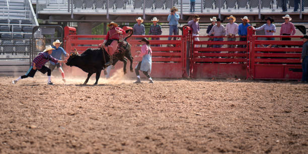 istock Cowboy Bull Riding in Rodeo Arena 1162672863