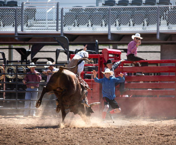 istock Cowboy Bull Riding in Rodeo Arena 1162673023