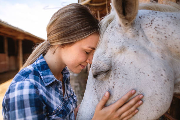 istock Girl stroking her favorite animal 1162676034