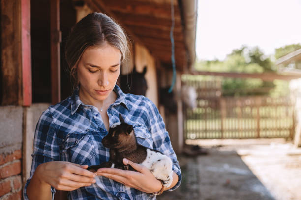 istock Girl playing around with a small goat 1162676081