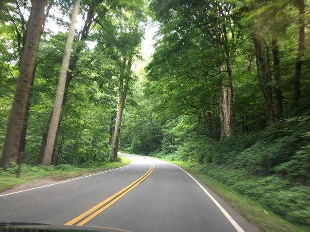 istock Travel Great Smoky Mountains 1162679555