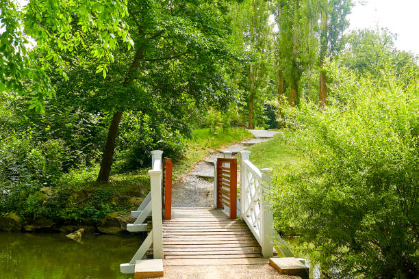istock Park, small wooden bridge 1162681938