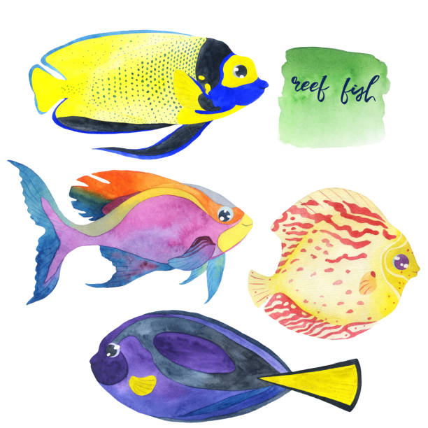 istock Set of watercolor coral aquarium fish. 1162683839