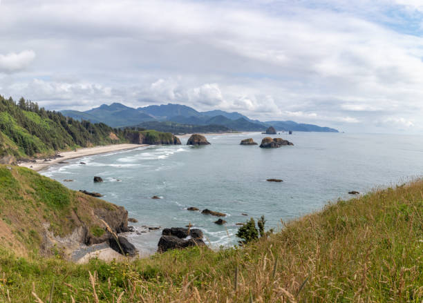 istock Chapman point at Ecola State Park, Cannon Beach, Oregon 1162686063
