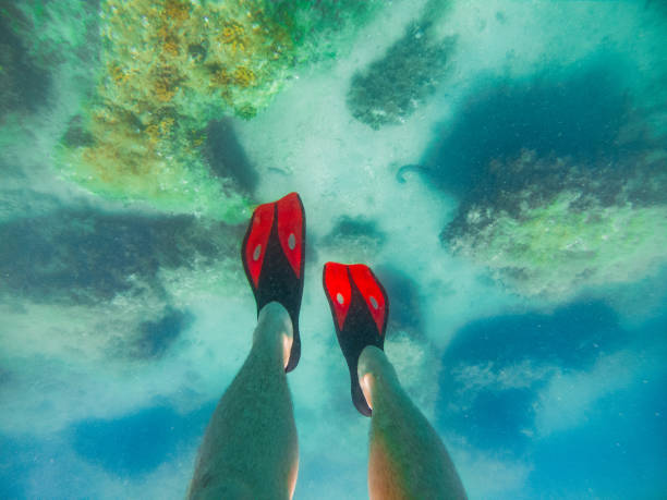istock mans legs in red flippers underwater snorkeling 1162686660