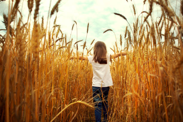Girl in a field on a sunset background