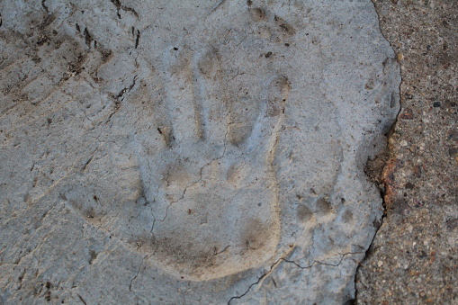 photos of the palm print of a person on the pavement.next trail dog.the silhouettes on the concrete are imprinted for centuries.