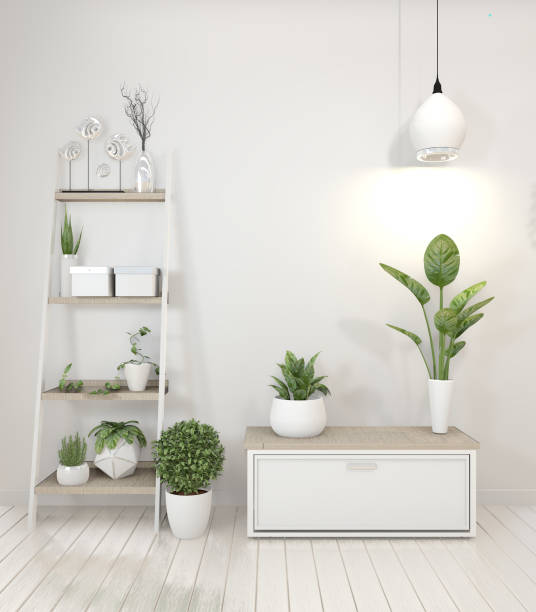 istock mock up decoration plants on cabinet in white living room interior.3D rendering 1162697333