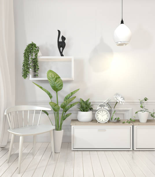 istock Mock up plants on shelf design wall minimal design.3D rendering 1162697608