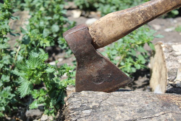 istock photo ax stuck in a log 1162699366