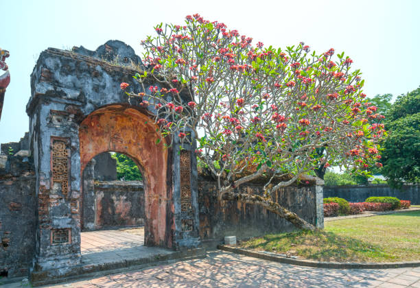 istock Old gate Forbidden Citadel in Hue, Vietnam. 1162713185