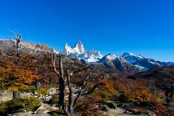 istock Argentina - Berglandschaft - Fitz Roy 1162715678