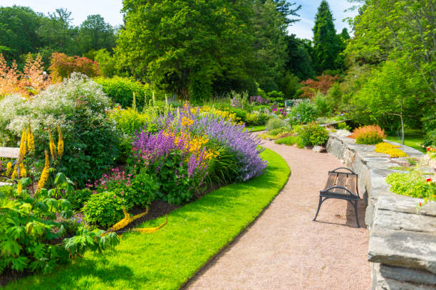 istock Lavish Botanical garden 1162717943