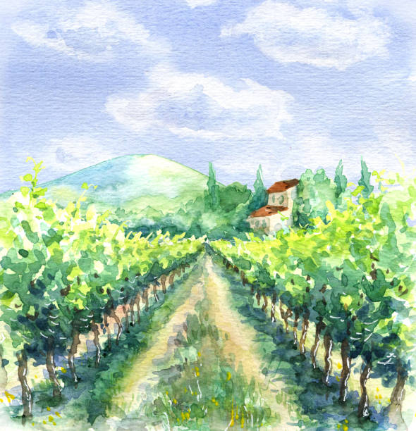 сельская сцена с голубым небом, облаками, виноградниками и холмом. - tuscany stock illustrations