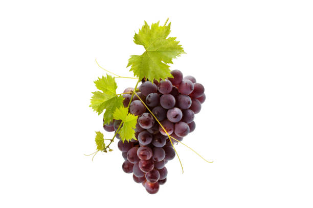 istock Ripe red grape with green leaves . 1162718855