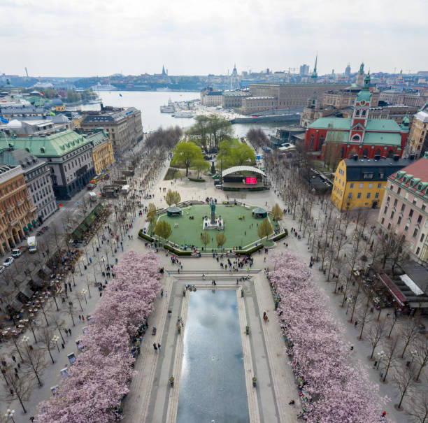 istock First cherry blossom and fountain, Kungstradgarden 1162719989